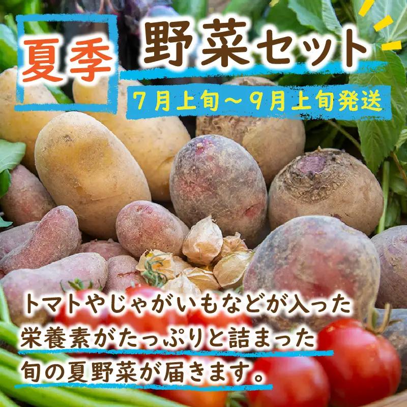 【野菜の定期便】有機野菜セット 夏冬 年２回 | SORA農園