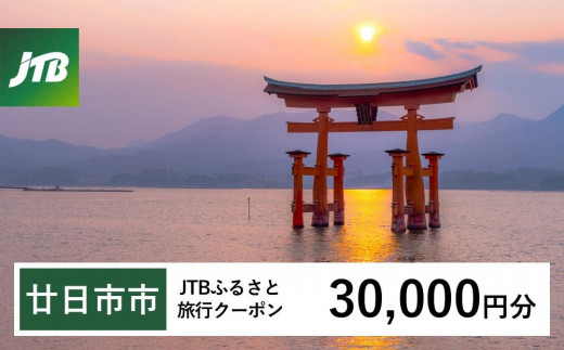 
                  【廿日市市】JTBふるさと旅行クーポン（Eメール発行）（30,000円分）【旅行 宿泊 宿泊券 トラベル クーポン チケット 宮島 鳥居 世界遺産 いつくしま 厳島神社 嚴島神社 観光 旅 広島県 広島 廿日市】
                