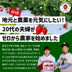 A-157　前橋市産いちご・やよいひめ（贈答用化粧箱入り）約800g｜ ｲﾁｺﾞ いちご 苺 いちご ｲﾁｺﾞ 果物 いちご 旬 いちご いちご