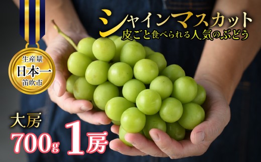 【2026年発送★先行予約】山梨県笛吹市産 シャインマスカット 1房 約700g 大房 皮ごと食べられる人気のぶどう 262-002-26y