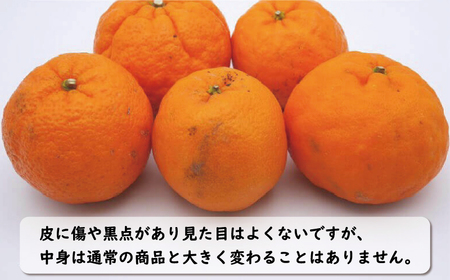 お試し用 訳あり ポンカン 3kg 7000円 みかん mikan 蜜柑 ミカン わけあり ぽんかん 産地直送 国産 農家直送 糖度 期間限定 数量限定 特産品 ゼリー ジュース アイス 冷凍 みかん