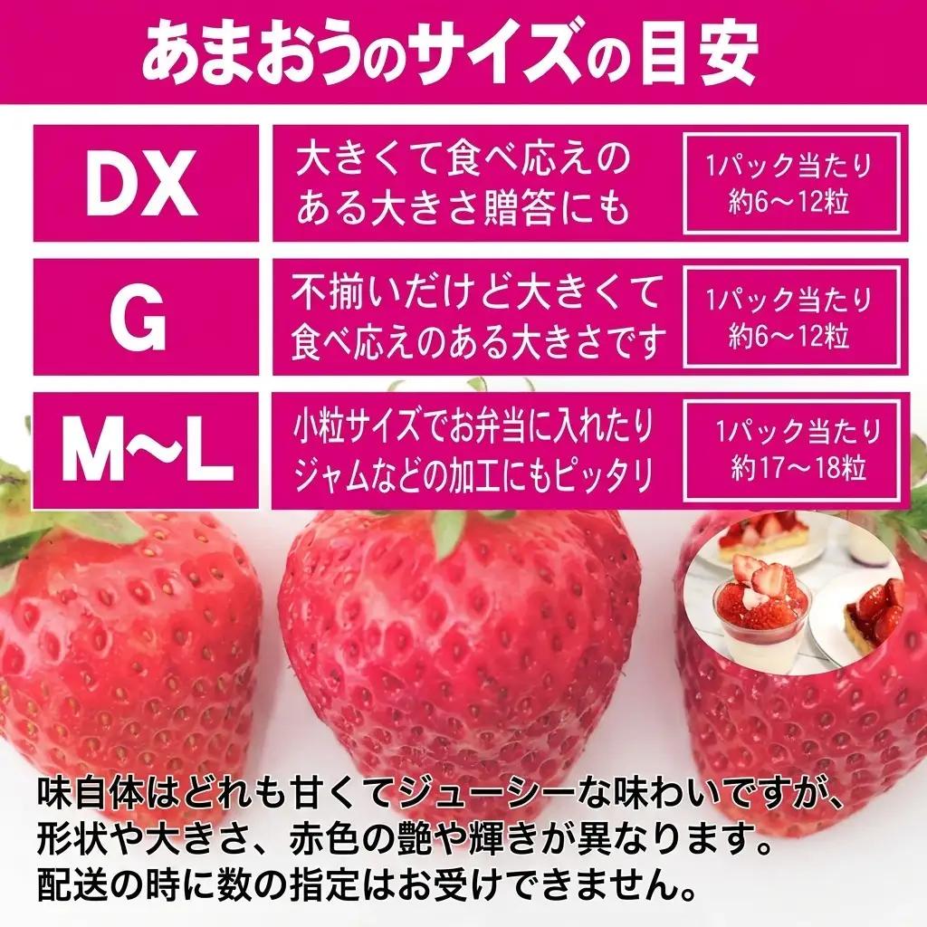 いちご あまおう 2L以上 約1.04kg（260g×4パック）東北 いちご