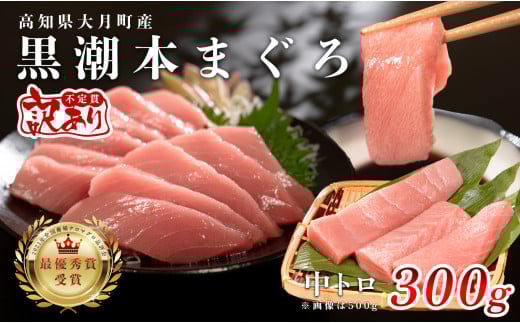 
            【訳あり】本マグロ 中トロ300g 不定貫 養殖マグロ 高知県産 指定日発送可能
          