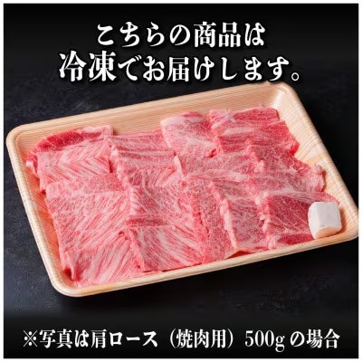 飛騨牛　厳選肩ロース(焼肉・BBQ用)600g(300g×2)A4〜A5等級【冷凍便】小分け【配送不可地域：離島】【1674158】
