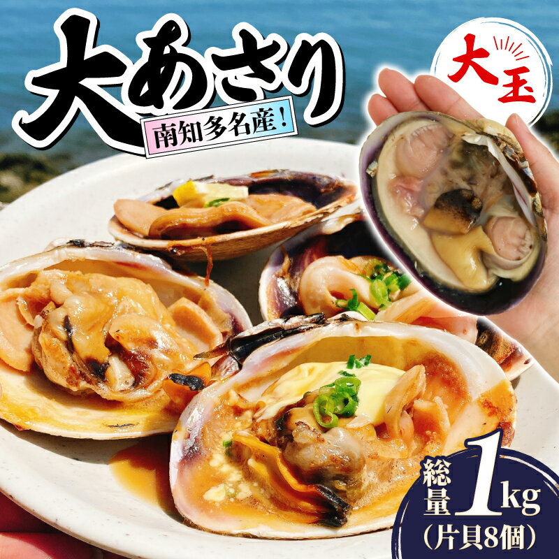【ふるさと納税】 南知多名産！ 大あさり カット済み 大玉 片貝8個 1kg 冷凍 プロトン凍結 魚貝 鮮魚 魚太郎 特産品 バーベキュー BBQ 浜焼き 酒蒸し 大あさり 大浅蜊 あさり アサリ 浅蜊 蛤仔 貝 かいし 大あさり 大浅蜊 あさり アサリ 浅蜊 蛤仔 愛知県 南知多町