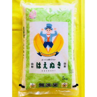 ふるさと納税 酒田市 【毎月定期便】【無洗米】はえぬき5kg全3回
