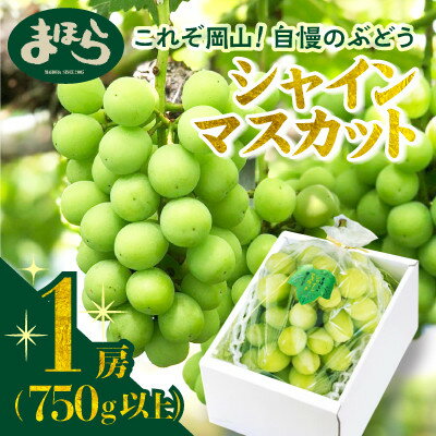 【ふるさと納税】【2025年度発送分】早起き農家の直送便　上出来シャインマスカット1房【1519573】