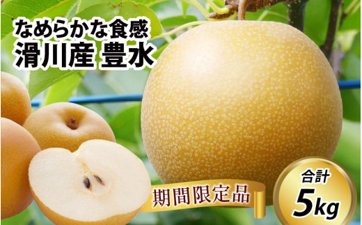 【先行予約】梨（豊水）5kg 11～14玉　※2026年9月上旬以降順次発送予定 / フルーツ 果物 くだもの なし 滑川市 新山果樹園