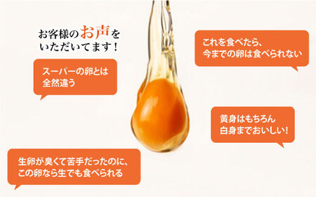 【3回定期便】 平飼い しあわせ たまご 40個＜松本養鶏場＞ [CCD024] 卵