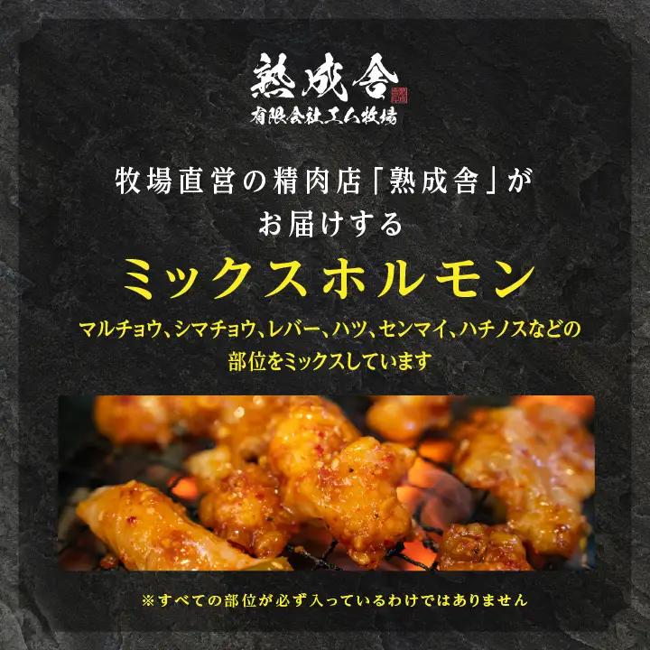 熟成牛 味付きミックスホルモン 1kg（500g×2袋） 【有限会社エム牧場】