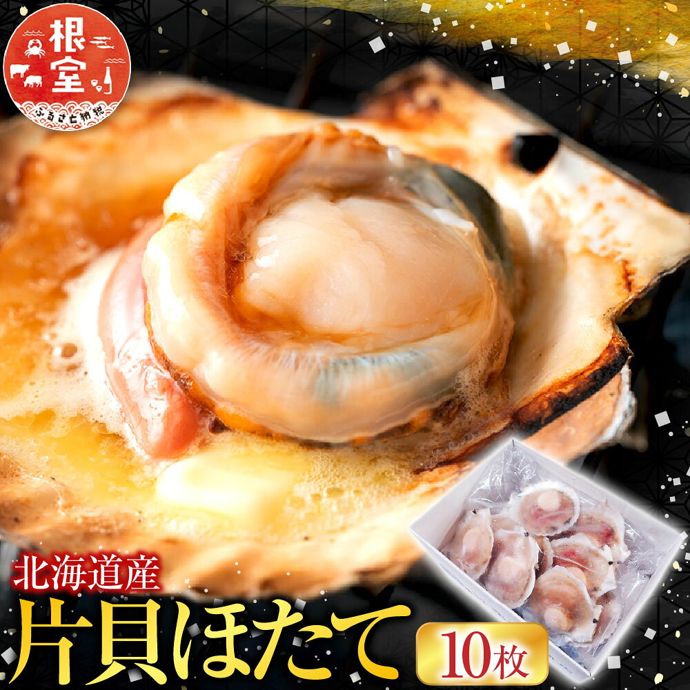 【ふるさと納税】 片貝ほたて 10 枚 ホタテ ほたて 帆立 帆立貝柱 ほたて貝柱 ホタテ貝柱 貝柱 殻付き 炉端焼き お取り寄せ グルメ 海鮮 北海道 根室市 ふるさと納税 G-11044