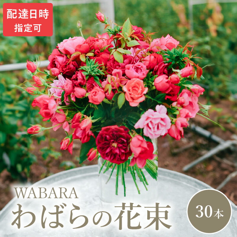 【ふるさと納税】わばら 30本 程度 選べる 配達日時 花束 わばらの枝 摘みたて WABARA ばら 花 飾り インテリア アレンジ 生花 切り花 花のある生活 丁寧な暮らし 冷蔵 滋賀県 守山市 お取り寄せ Rose Universe 國枝啓司 送料無料