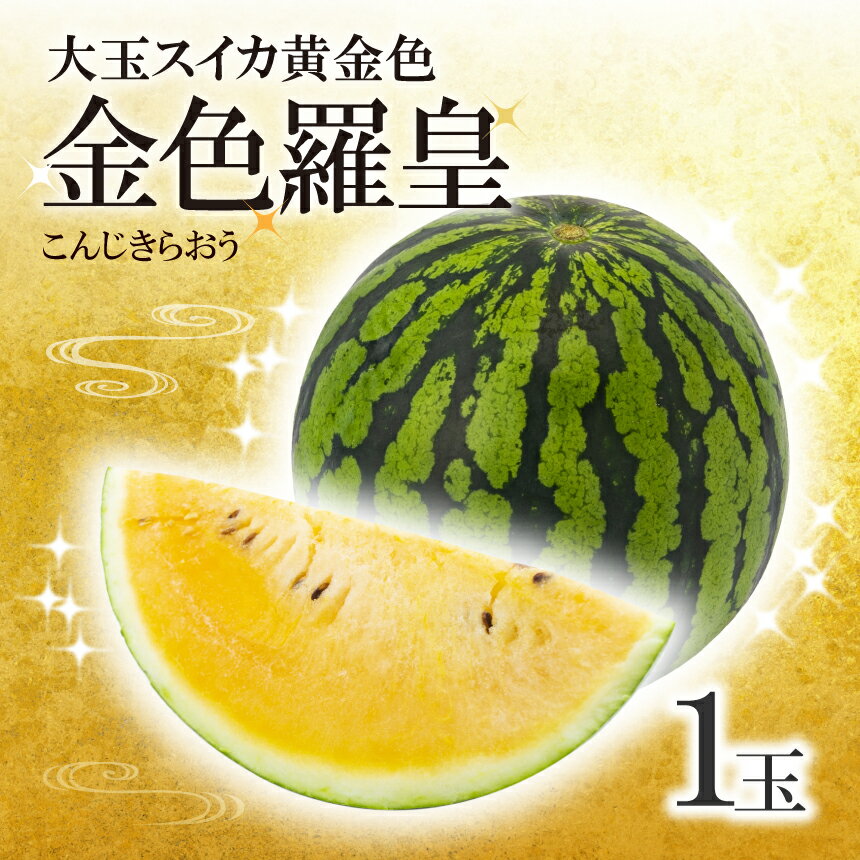 【ふるさと納税】 大玉 スイカ 黄金色 金色羅皇 1玉 すいか スイカ 2026年6月中旬頃発送 果物 フルーツ 大玉 国産 熊本県 和水町 西瓜 大玉くまもと 熊本県 希少 野菜 人気 こんじき らおう