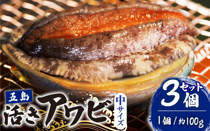 【到着日・受取時間指定必須】【配送エリア限定】【数量限定商品！】五島産養殖活きアワビ 1個あたり100g前後 中サイズ3個 あわび 鮑 五島市/（有）都工業 [PEX001]