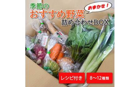 季節のおすすめ野菜おまかせ詰め合わせBOX 8種～12種類 通常サイズ【16101】