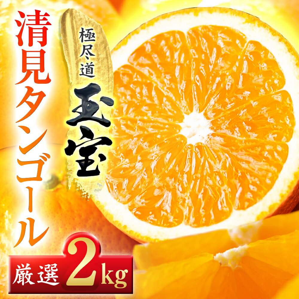 【ふるさと納税】【先行受付】【愛媛名産】玉宝清見タンゴール　2kg/4kg/5kg/10kg_ 清見オレンジ 清見みかん 清見 玉宝 極尽道 愛媛のみかん 柑橘 果物 くだもの フルーツ 美味しい 甘い まろやか ジューシー おすすめ 愛媛 八幡浜市 【G1623964】 YWTY070