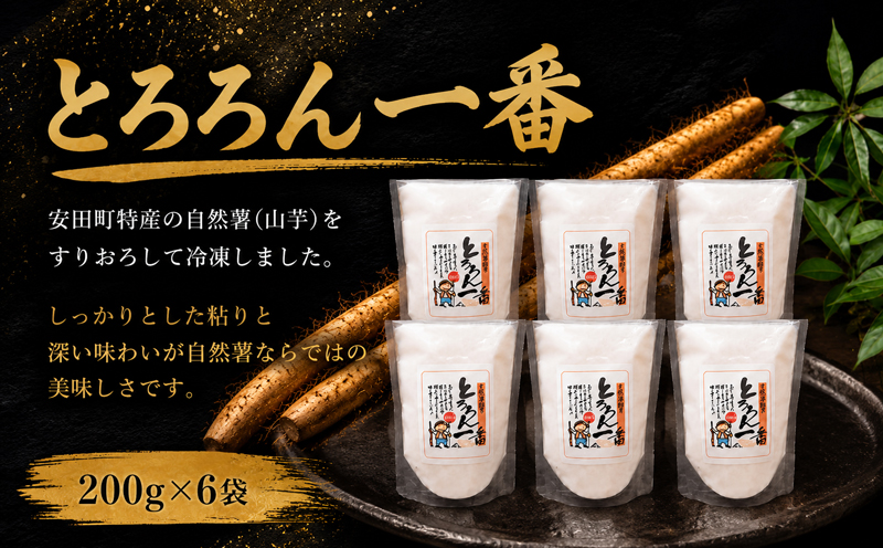 安田町産 中山 自然薯とろろん1番(すりおろし)6袋 とろろ 冷凍 小分け 自然薯 すりおろし 200g 6袋 そば うどん ラーメン そうめん 簡単調理 野菜 やさい 山芋 やまいも ふるさと納税野菜  高知県  安田町 JN0002