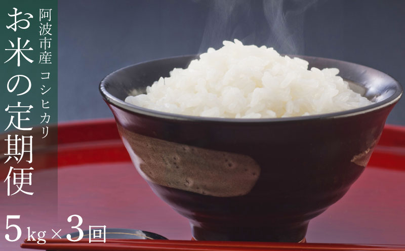 定期便 3回 米 コシヒカリ 5kg 令和8年産 米 こめ ご飯 ごはん おにぎり 白米 精米 卵かけご飯 食品 ギフト 贈答 プレゼント お取り寄せ グルメ 送料無料 徳島県 阿波市 栗栖農園