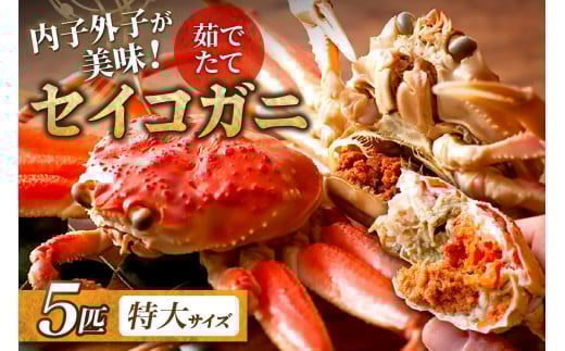 【蟹の匠 魚政】内子外子が美味! 茹でたて セイコガニ（セコ蟹）（香箱ガニ）（こっぺ）特大サイズ 5匹セット ボイル せいこがに 特大 5匹 冷蔵便　UO01383
