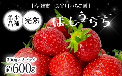 
            完熟いちご ほしうらら 約600g いちご イチゴ 苺 デザート フルーツ 果物 くだもの 果実 食品 F21C-298
          