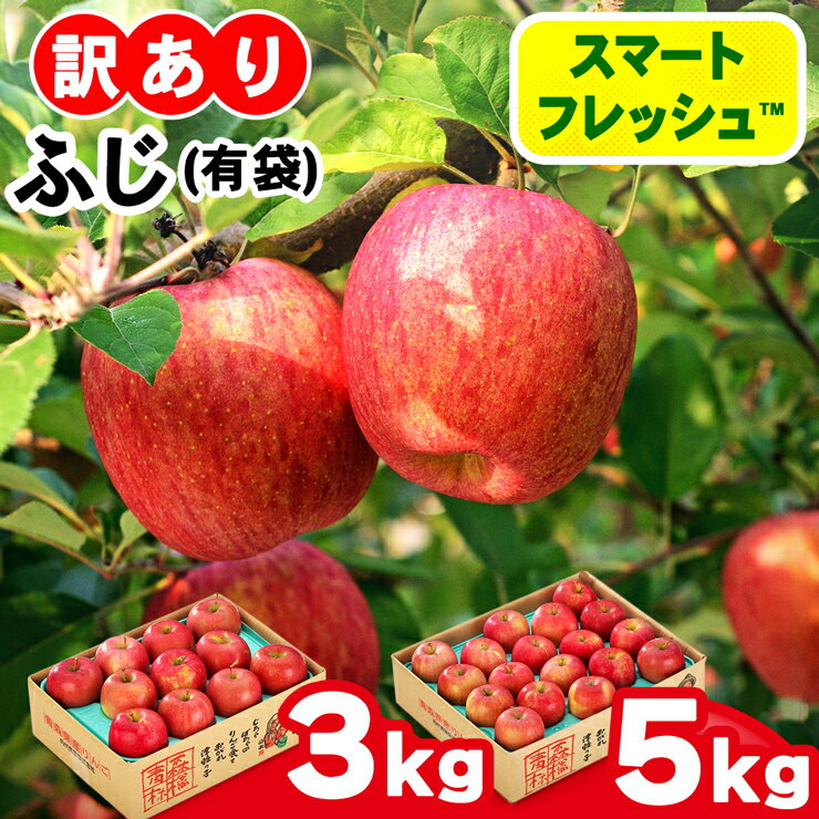 【ふるさと納税】家庭用 りんご ふじ (有袋) スマートフレッシュ™ 見た目にわけあり 味はそのまま｜青森 つがる 訳あり 訳アリ リンゴ 青森りんご フルーツ 果物 [0828-0830]