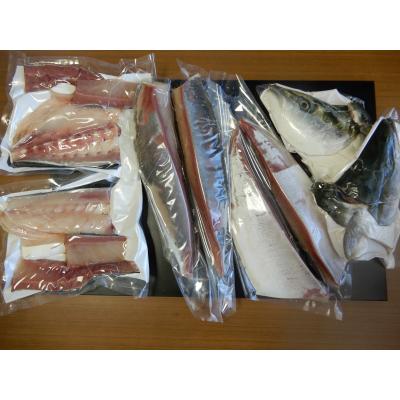 ふるさと納税 多度津町 オリーブはまち1本まるごと(四分一カット)【先行受付:令和7年10月中旬頃から出荷】【C-313】 |  | 03