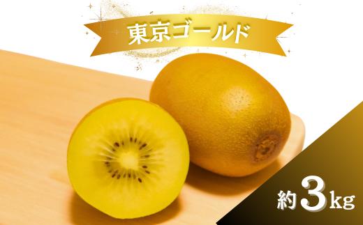 【2025年度】キウイ キウイフルーツ 東京ゴールド イエロー ゴールド 3kg 国産  キウイフルーツ ビタミンC 果物 フルーツ ゴールデンキウイ サンゴールドキウイ