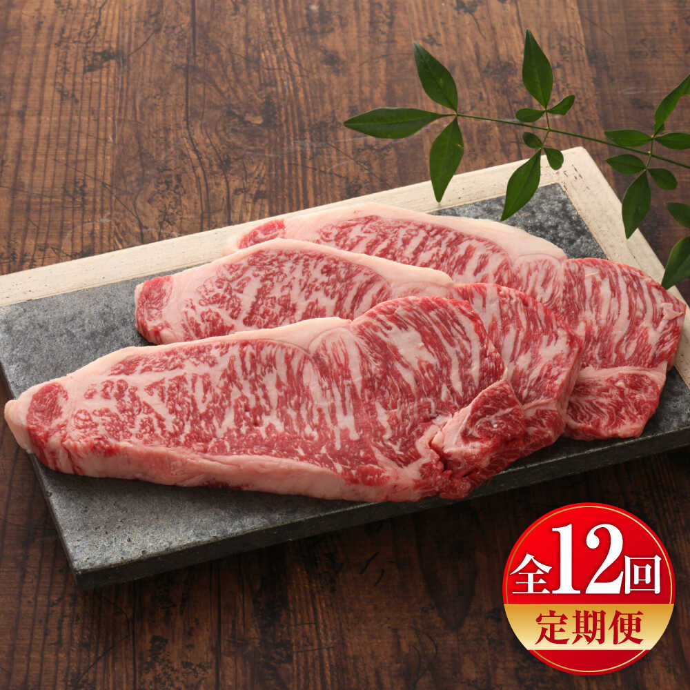 【ふるさと納税】【全12回定期便】【GI認証】くまもとあか牛サーロインステーキ 約200g×3枚 / 菊陽町 あかうし 熊本県 肉 にく niku ブランド 旨み くまもとあか牛 和牛 自社牧場 直接 最高 牛 牛肉 ぎゅうにく ぎゅう肉 冷凍 国産【有限会社 三協畜産】[BHAS068]