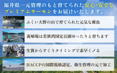 【先行予約】【3ヶ月連続お届け】ふくいサーモン 400g (刺身用) 真空冷凍 200g × 2パック × 3回【2024年4月上旬以降順次発送開始予定】 【サーモン 鮭 刺身 さけ サケ さかな 魚