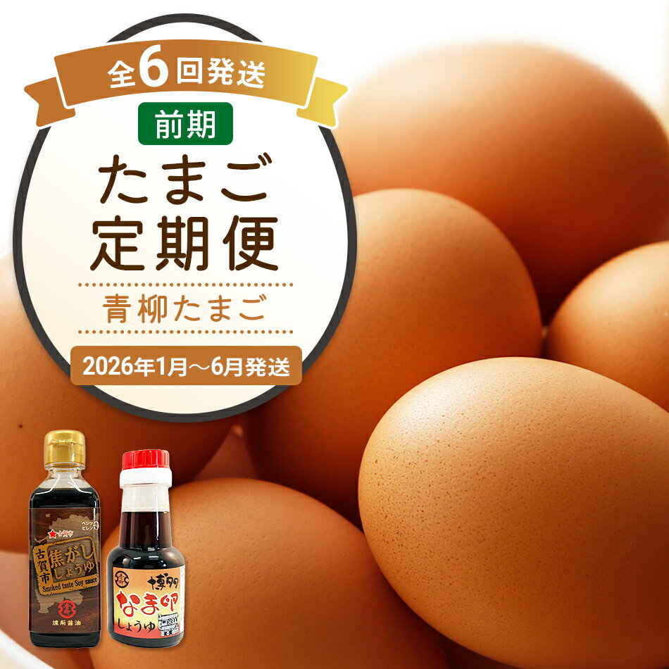 【ふるさと納税】たまご前期定期便 6回発送（初回のみ醤油付き・たまご20個）20個×6回 合計120個 定期便 6ヶ月 卵 おうはん卵 青柳たまご 送料無料 【2026年1月〜6月の計6回お届け】