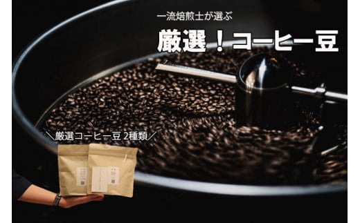 【Specialty Coffee】真庵（まこと）焙煎コーヒー豆（２種類） ※産地はおまかせ　コーヒー 珈琲 コーヒー豆 珈琲豆 焙煎 コスタリカ ブラジル グアテマラ コロンビア エチオピア インドネシア ケニア 