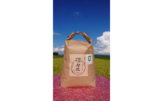 
            令和6年度産 體力米（たいりょくまい）コシヒカリ白米5kg　
          