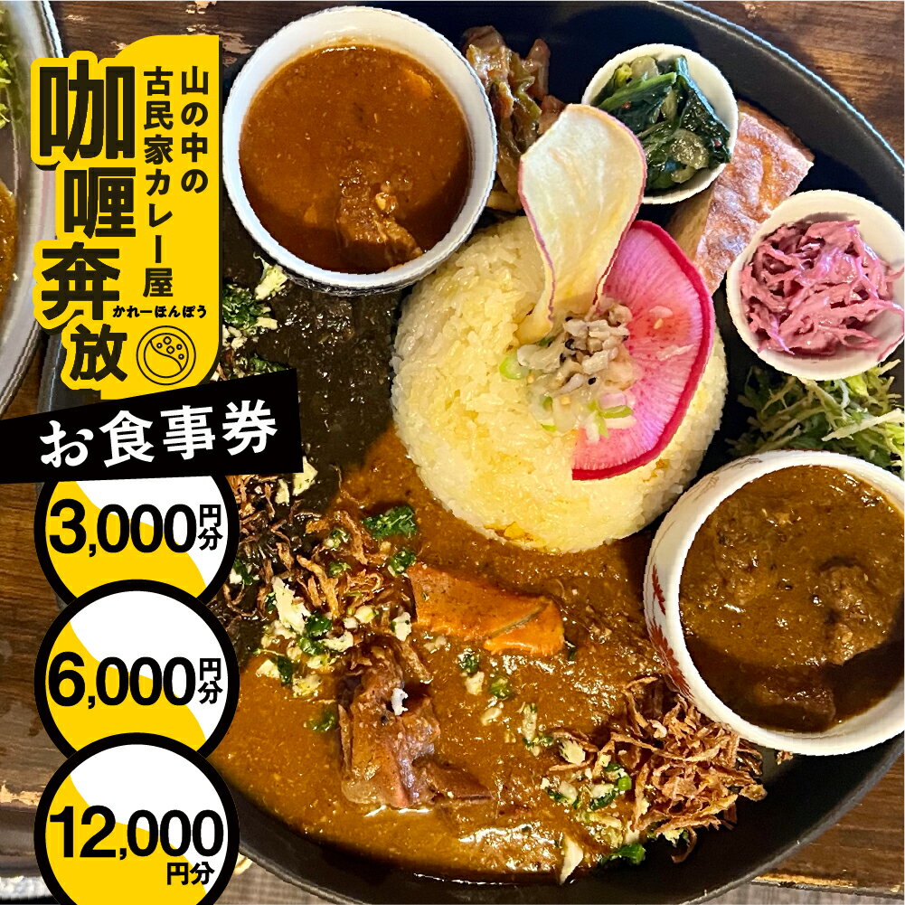 【ふるさと納税】【カレー奔放】食事券（3,000円～12,000円分）カレーホンポウ 食事 カレー ランチ ディナー キッチンカー 飲食 テイクアウト 旅行 下呂市 食事券 下呂 岐阜県