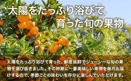 【先行予約】果物6か月定期便 合計6回 いちご 1kg ぽんかん 4.5kg デコポン 2kg ジューシーオレンジ 4.5kg クインシーメロン 2kg 肥後グリーン 1.3kg 定期便 定期 頒布 