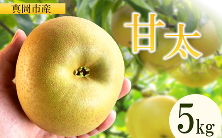 【2026年先行予約】 甘太 5㎏ 真岡市産 梨 なし