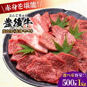 【ふるさと納税】【選べる容量】おおいた豊後牛 赤身モモ 焼肉用 500g/1kg 日田市 / 株式会社MEAT PLUS　牛 うし 黒毛和牛 和牛 豊後牛[AREI019-AREI020]