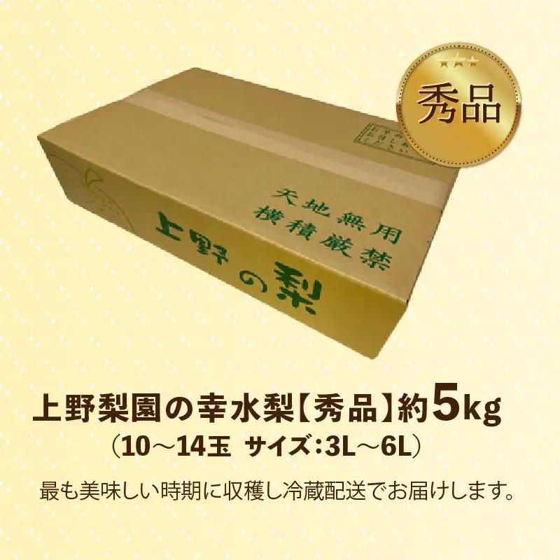 【先行予約】上野梨園の幸水梨 10～14玉入 約5kg  3L～６L【秀品】《数量限定》梨園直送！ / 期間限定 果物 フルーツ 農家直送 シャキシャキ もぎたて 旬 お取り寄せ ※2026年8月下旬
