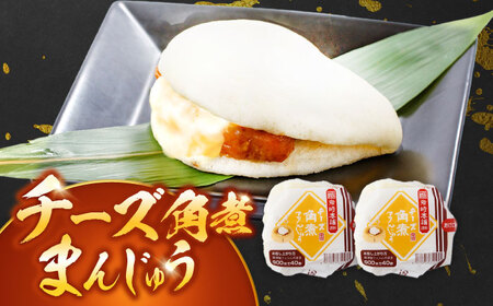 【12回定期便】角煮まんじゅう3種食べ比べ　計8個セット（角煮まん・大トロ角煮まん・チーズ角煮まん）【岩崎本舗】[OCT036]角煮角煮角煮