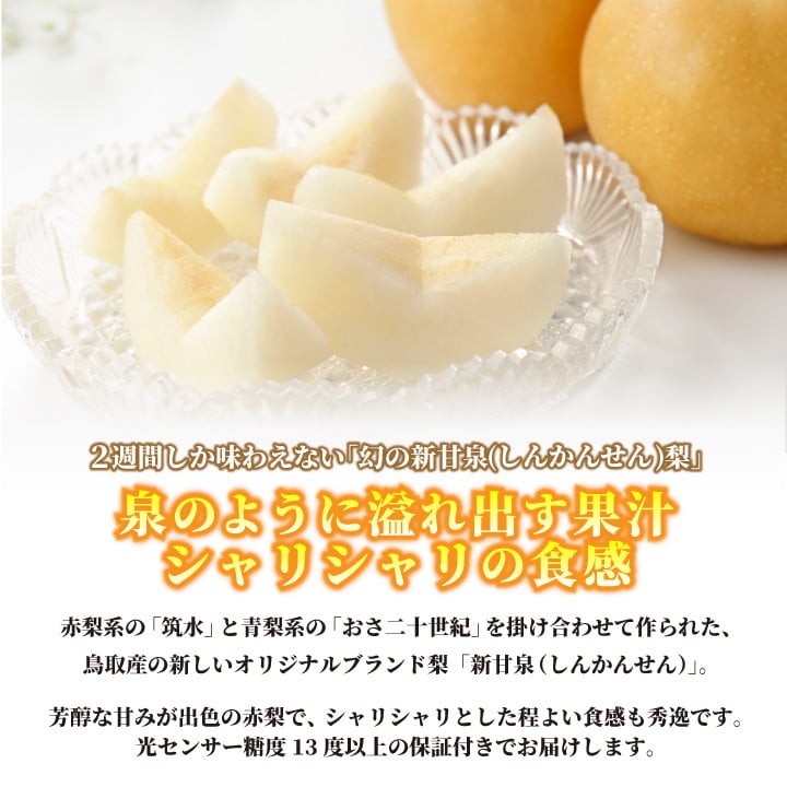 新甘泉梨（しんかんせんなし）（５ｋｇ）