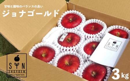 【先行予約】松陽園 樹上完熟 りんご ジョナゴールド 3kg【2026年10月中旬頃から順次発送】 農家直送