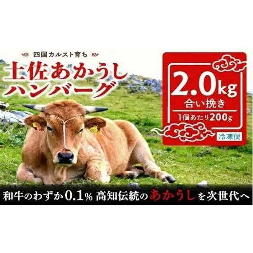 【ハンバーグ】土佐あかうしハンバーグ 2kg 200gx10個