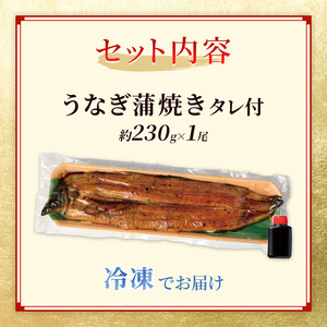 うなぎ 特大 蒲焼き 約230g前後 1尾 うなぎ