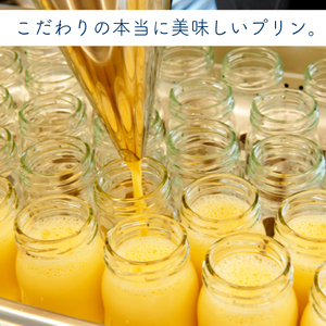 沼津 プリン   6個 セット プリン