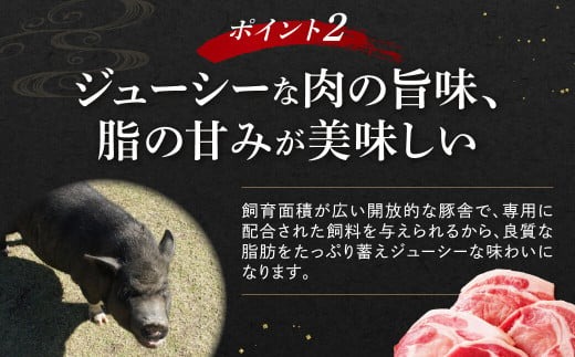 牛肉 和牛 ヤマトポークロースステーキ用【年末年始12月26日~1月7日の着日指定不可】 大和牛専門店 一 I-131