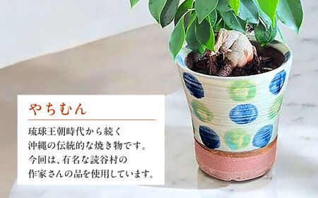 南国植物とやちむんのグリーンセット 観葉植物 エアープランツ インテリア 雑貨 小物 おしゃれ ナチュラル 沖縄市 / 草花屋ふれあい[BCDX001]