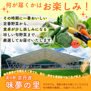 【6回定期便】 道の駅京丹波味夢の里 『旬のお野菜』 詰め合わせセット 野菜詰め合わせ 4~12種類