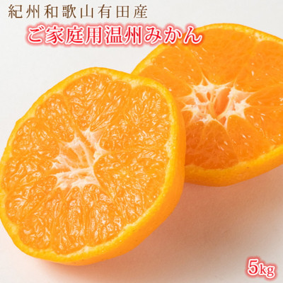 【2026年11月下旬より発送】【ご家庭用訳アリ】紀州有田産濃厚完熟温州みかん　5kg【日高町】【配送不可地域：離島】【1217243】