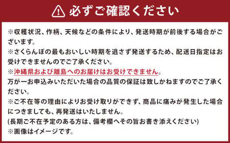 二戸産 さくらんぼ 【紅秀峰】 約500g 【2025年7月中旬発送開始】 ／サクランボ フルーツ 果物 くだもの チェリー