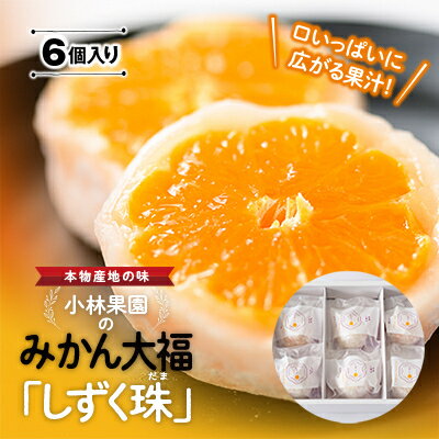 【ふるさと納税】“本物産地の味” みかん大福「しずく珠(だま)」口いっぱいに広がる果汁!【C24-11】_ 大福 フルーツ大福 フルーツ みかん 果物 くだもの スイーツ 和菓子 お菓子 餅 お餅 お茶菓子 お取り寄せ 冷凍 果汁 ジューシー 【配送不可地域：離島】【1171839】