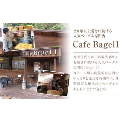ふるさと納税 南阿蘇村 ベーグルセット 7種 10個入 ベーグル・ワン《30日以内に出荷予定(土日祝除く)》